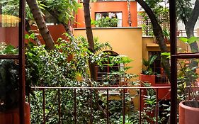 The Red Tree House